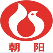 朝陽(yáng)泵業(yè)QZ軸流、QH混流潛水電泵